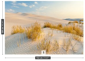 Fototapeta Vliesová Bunesk dunes 416x254 cm