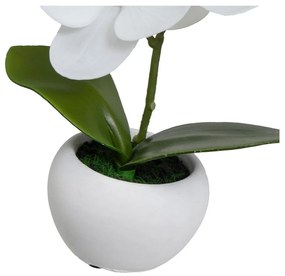 Umelé rastliny v súprave 3 ks (výška 15 cm) Orchid – Casa Selección