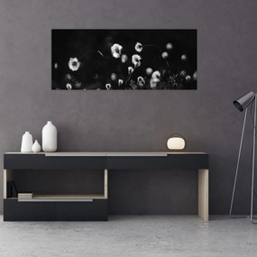 Obraz - Lúka s cottongrass N⁰1 (120x50 cm)