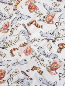 Francúzske obliečky mikroplyš Harry Potter - Chrabromil 2