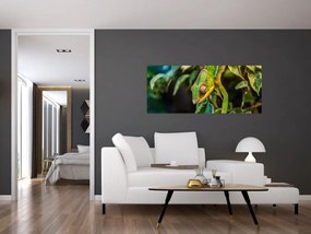 Obraz chameleóna (120x50 cm)