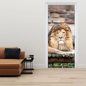 Fototapeta na dvere - Lev (95x205cm)