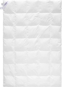 XXXLutz CELOROČNÁ PRIKRÝVKA, 140/200 cm, páperie, perie Sleeptex - Prikrývky & vankúše - 003286014701