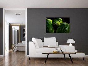 Obraz - Zelený had (90x60 cm)