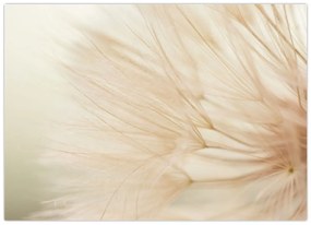 Obraz - Detaily kvetu (70x50 cm)