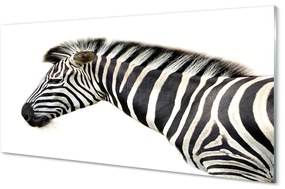 Nástenný panel  zebra 125x50 cm