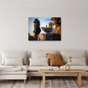 Obraz lupy a krajiny (70x50 cm)