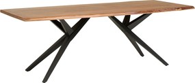 XXXLutz JEDÁLENSKÝ STÔL, akácia, čierna, farba vlašského orecha, 220/100/76 cm P & B - Online Only jedálne - 001630031303