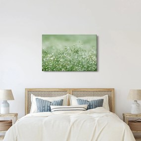 Obraz - Ranná rosa na steblach trávy (90x60 cm)