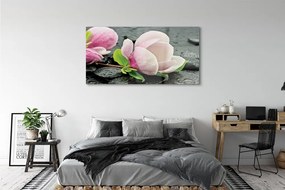 Obraz plexi Magnolia kamene 140x70 cm