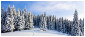 Obraz - Zima v lesoch (120x50 cm)
