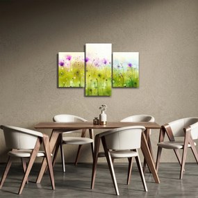 Obraz - Lúčne kvety (90x60 cm)