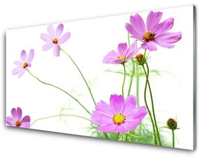 Obraz na akrylátovom skle Kvety rastlina 125x50 cm