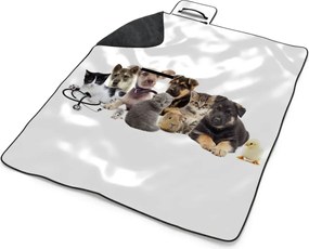 Sablio Plážová deka Mláďatká 2: 200x140 cm