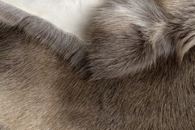 Koberec RENIFER POK012 sivý / béžový