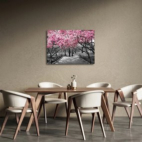 Obraz stromov Magnólie (70x50 cm)