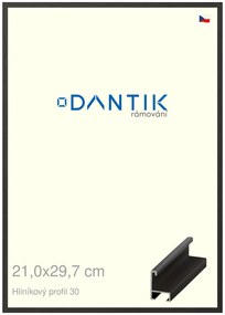 DANTIK rám na obraz 21x29,7 | ALU Dýha černá (Sklo Čiré)