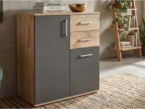 Skrinka s 2 zásuvkami Bacalar, dub viking/sivá%