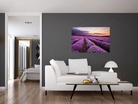 Obraz - Levanduľové pole pri západe slnka (90x60 cm)