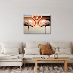 Obraz - dva plameniaky (70x50 cm)