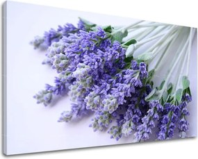 Obraz na stenu KVETY XOBKV122E11 - 20x30 cm