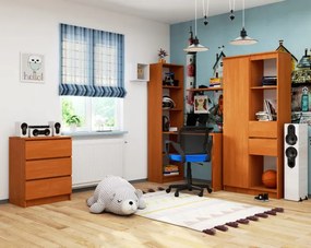 Písací stôl s regálom SMART CLP, olcha