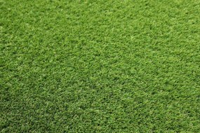 Artificial grass specialists AKCIA: 78x560 cm Umelá tráva Rosemary NEW metrážna - Rozmer na mieru cm