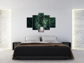 Obraz - Cesta lesom (150x105 cm)