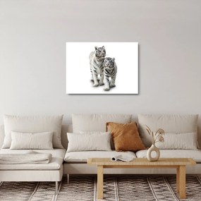 Sklenený obraz - Biely tiger (70x50 cm)
