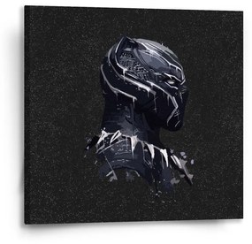 Sablio Obraz BLACK PANTHER z profilu Vesmír - 50x50 cm