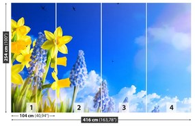 Fototapeta Vliesová Modrý narcis 250x104 cm