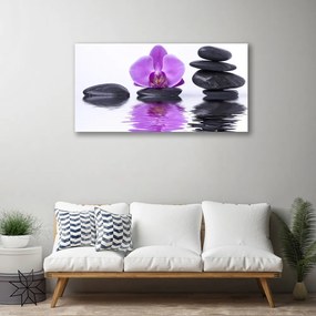 Obraz na plátne Kvet kamene umenie 140x70 cm