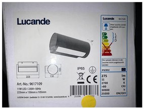 Lucande - LED Vonkajšie nástenné svietidlo BOHDAN LED/11W/230V IP65 LW1103