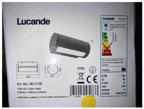 Lucande Lucande - LED Vonkajšie nástenné svietidlo BOHDAN LED/11W/230V IP65 LW1103
