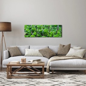 Obraz sukulentov (s hodinami) (90x30 cm)