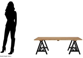 Konferenčný stolík s doskou z borovicového dreva v prírodnej farbe 80x140 cm Hampstead – Premier Housewares