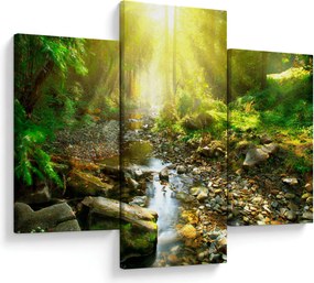 Obraz rieky v zelenom lese (90x60 cm)
