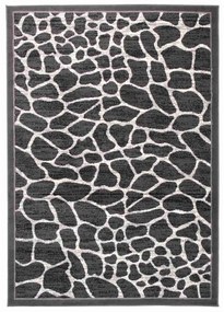 Kusový koberec PP Eglo šedý 140x200cm