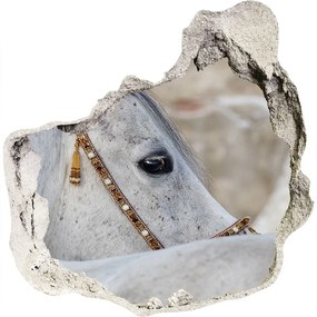 Fototapeta diera na stenu 3D Biela arabský kôň nd-p-143185113