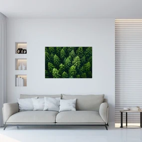 Obraz - Les (90x60 cm)