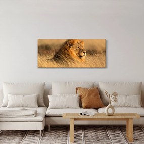 Obraz - Národný park Etosha (120x50 cm)