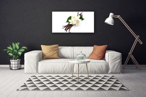 Obraz Canvas Vanilková tyčinka do kuchyne 125x50 cm