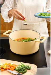 Liatinový kastról s pokrievkou na indukčný varič 5,5 l Mattia 3.0 – FABINI