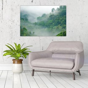 Obraz - Ranná hmla (90x60 cm)