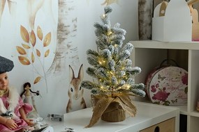 DECOLED Vianočný stromček s osvetlením, 50 cm