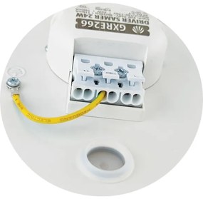 LED Stropné svietidlo SAMER LED/24W/230V 4000K