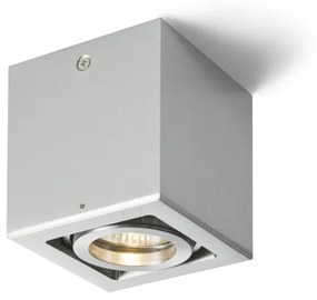 RENDL R10119 BERIT prisadené svietidlo, downlight hliník