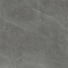 Dlažba Tessino Grey Pulido 120x120 R