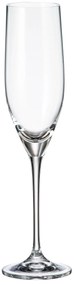 Crystalite Bohemia poháre na šampanské Sitta 240 ml 6KS
