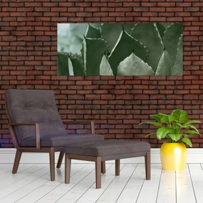 Obraz - Zelená agáve (120x50 cm)